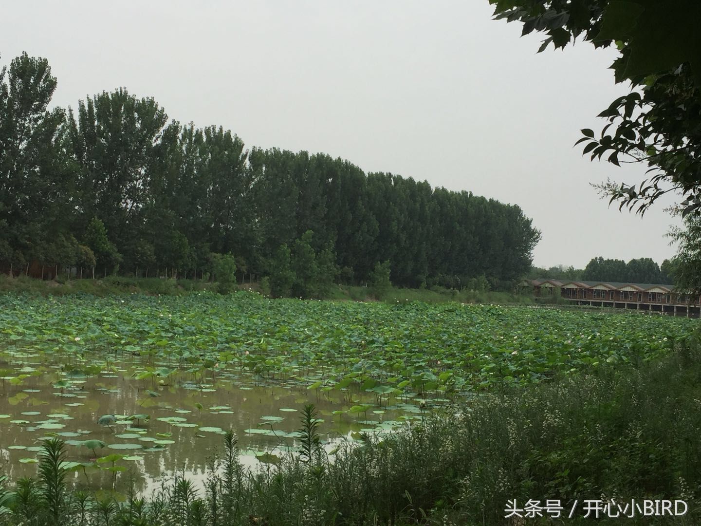 绿源山水生态园郑州又一处免费景区,停车方便人少好玩