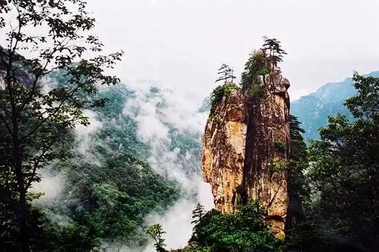 河南最适合登山踏青的十座最美最高的山峰,这个春天不