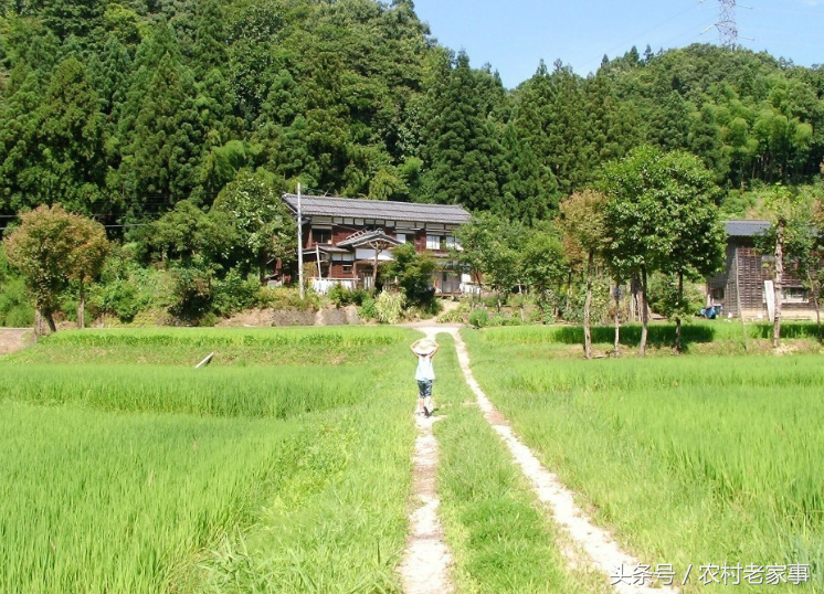 农村的田间小路.