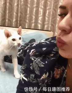 搞笑gif:桌子:小姐姐请挪开我承受不了了