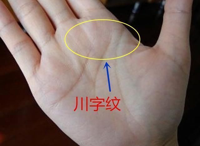 "川"的字样,根据我国民间的说法,女性川子纹手掌在右手代表着福气,在