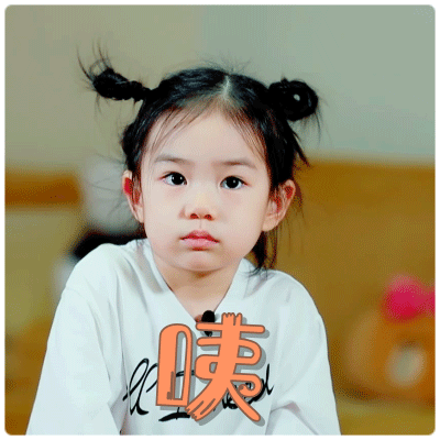 李承铉带女儿卖花挣生活费,站在推车上的lucky一脸呆萌,超可爱[复制