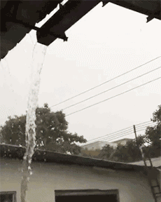 搞笑gif图:女生没男票发朋友圈的,来公园随便借!