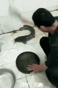 ▼终于见到沙包大的拳头了