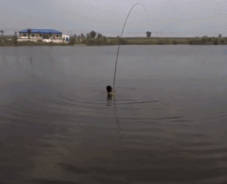 这哥们让鱼给钓了