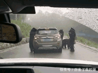 搞笑gif:媳妇跟丈母娘,是不是有得一拼啊,保养的太好了