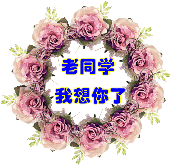 老同学相遇,相知,相契,相依,相助!感谢你们一路相伴!