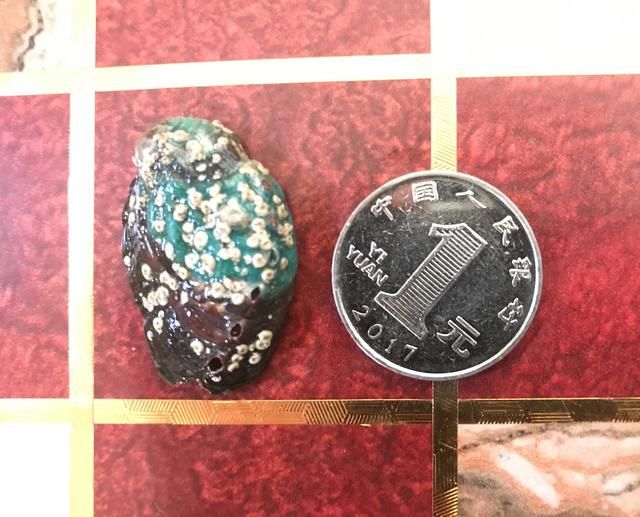 菜品大哥东山岛海边菜谱你5分钟学煮猪肉骨贵阳龙人教辣子鸡私房图片