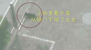 全球搞笑gif:不就区区一台兰博坚尼,妹子你至于连自尊
