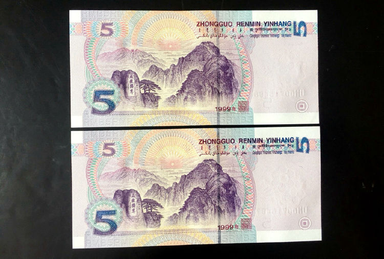 第五套人民币五元纸币