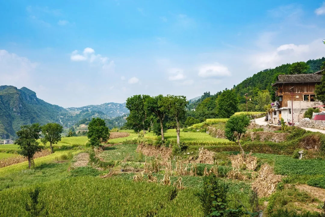 贵州大山里的这座古寨,隐居着一群侠客