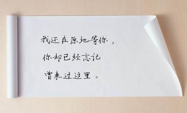 很悲伤的句子,句句扎心,总有一句说到你心里