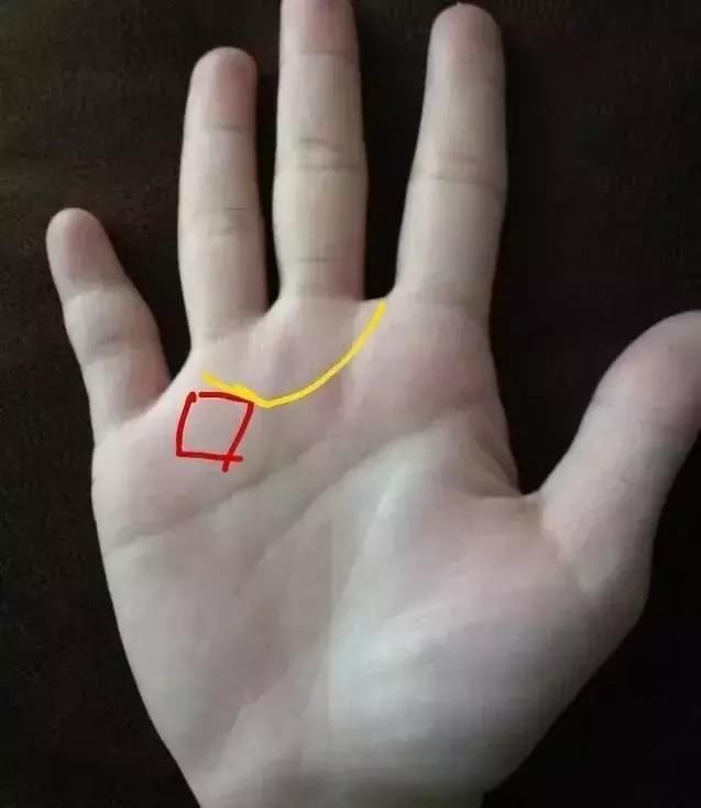 手上中指无名指下方有,这类半月环的,易得面相俊美夫,如果环外还有