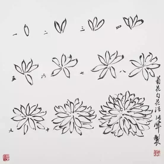 花鸟画名家张晖详解菊花两大画法:双勾法和没骨法