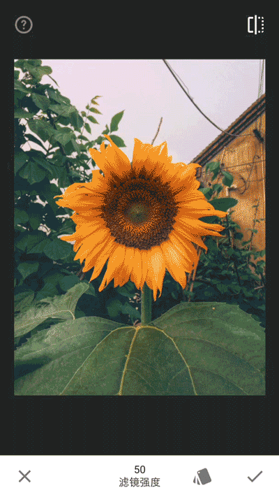 网红一般用的p图软件_网红用的p图软件月亮_网红用的p图软件名字