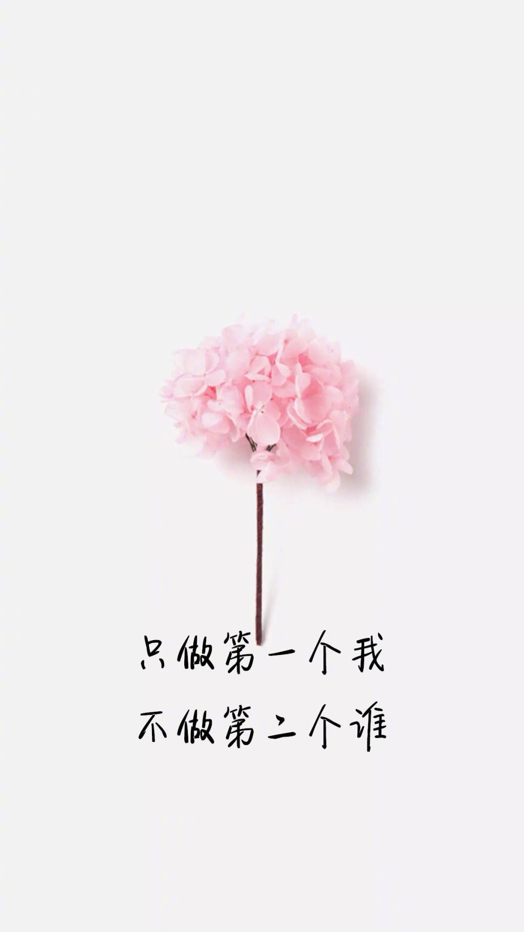 一大把励志带字壁纸各种风格:心若没有栖息的地方到哪里都是流浪
