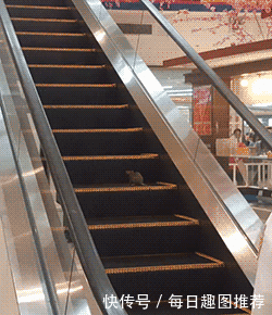 楼梯 250_290 gif 动态图 动图