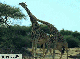 如此神技,征服银河系的重任就交给你们了