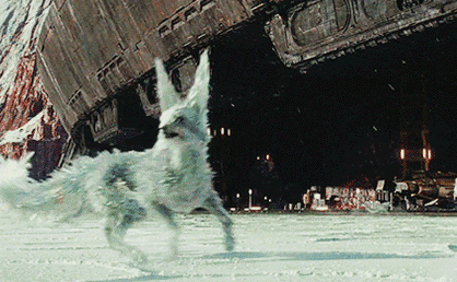 迪斯尼黑科技,《星球大战8》中的水晶狐,值得国内学习