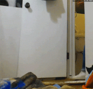 搞笑内涵图:妹子,到站了快醒醒