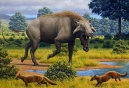 生存在中国的5种史前猛兽,第3种灭绝于35万年前,为一方霸主