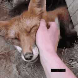 内涵段子:我头发自来卷,万一脱落的头发掉菜里