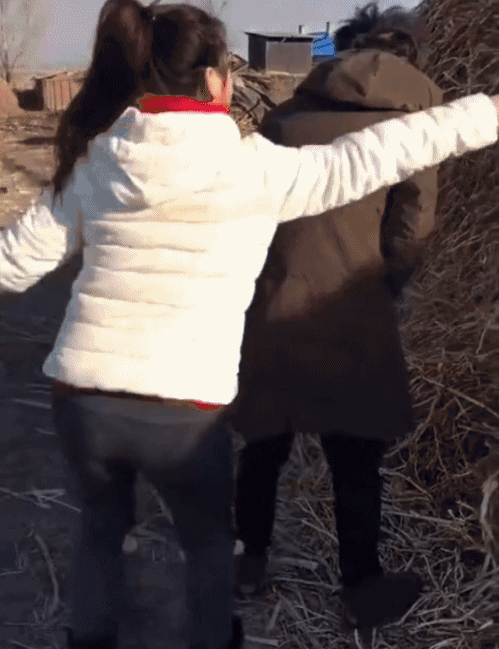 蛋蛋疼怎么回事