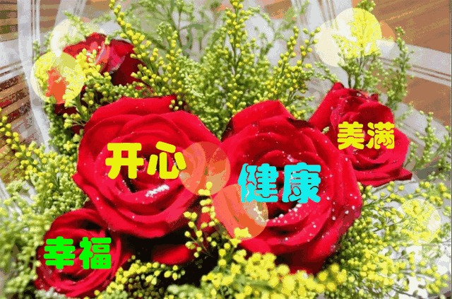把祝福装进手机,把问候变成文字