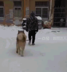 搞笑gif图:当老婆的面吃她闺蜜碗里的肉 ,兄弟活着不好吗?