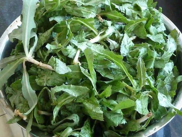 清明节回家可以吃这些野菜