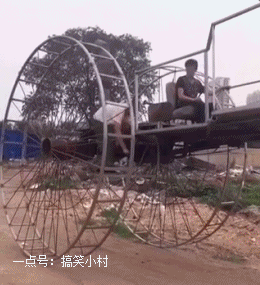 搞笑gif图:这女儿哪里是爸爸的小棉袄,很明显是黑心棉