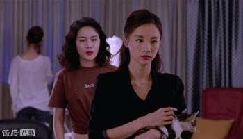 贾衣玫罗伊人正面开战,《猎场》三女主谁才是胡歌的心头肉