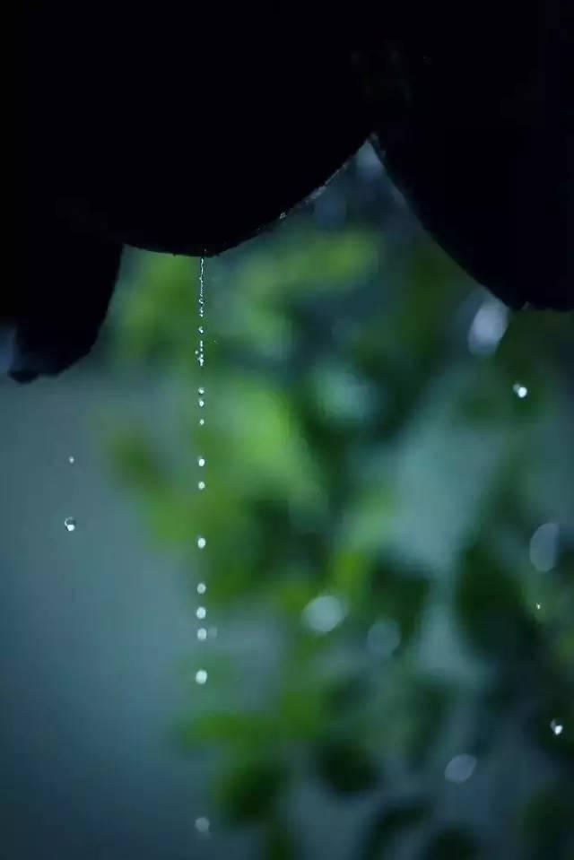 我听雨,静静的,听你