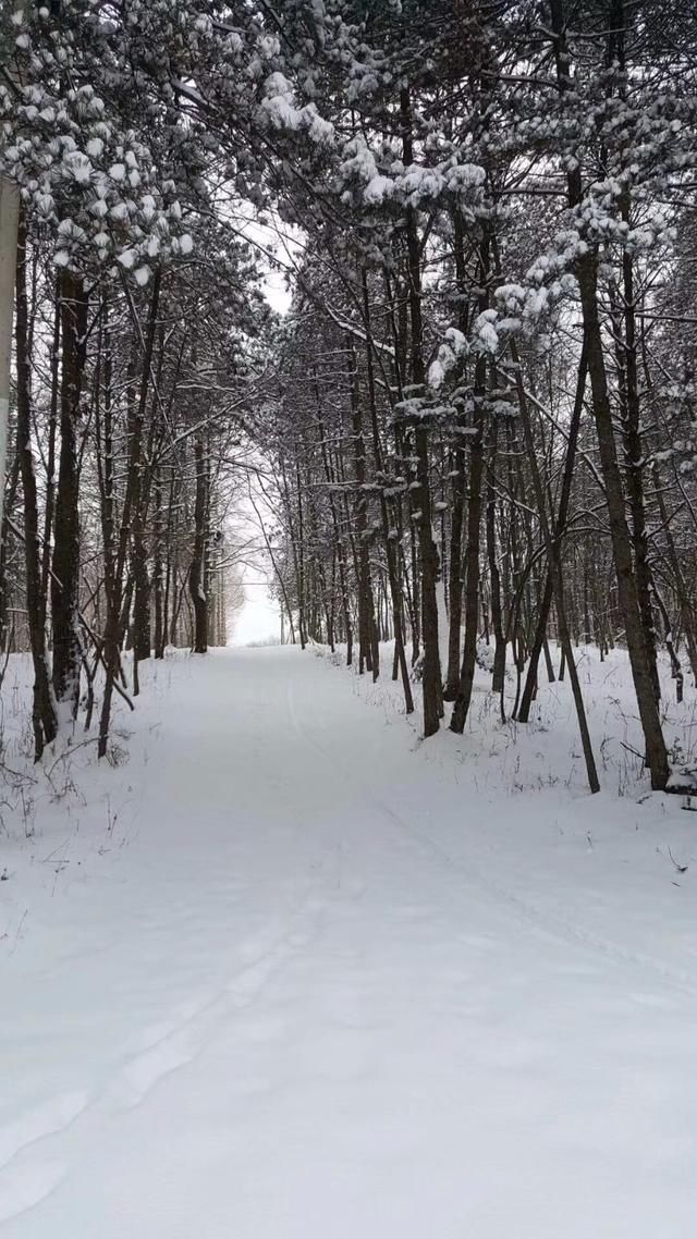 宜昌最新赏雪地图新鲜出炉,在诗画之城邂逅下雪的冬天!