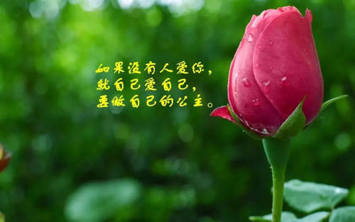非常精辟的经典句子,你需要活的励志一点!