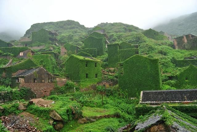 在东边的枸杞岛,有个无人村,绿野仙踪的所在