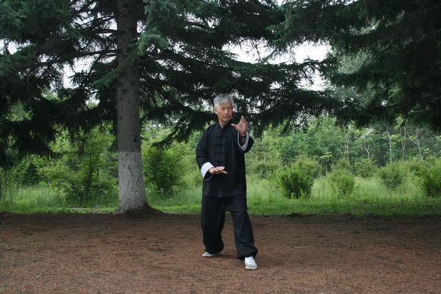 形意拳三体式桩站桩之得气与练习误区,看懂了少走三年