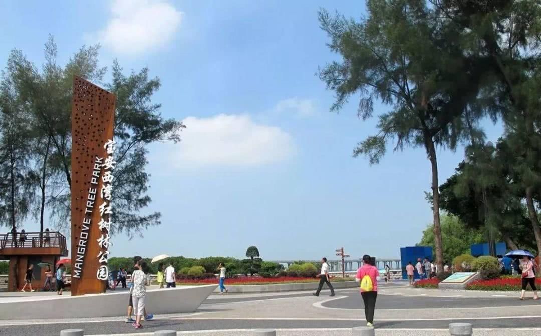 西湾红树林湿地公园