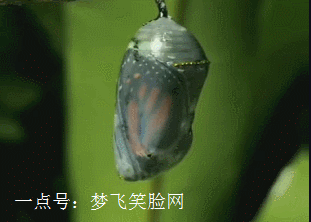 爆笑gif:看到她的笑容,别说你恋爱了