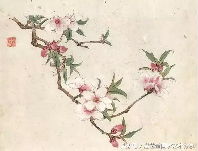 桃花  