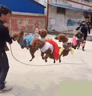 爆笑gif:跳舞就跳舞,别做太多高难度的动作