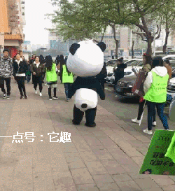 搞笑gif:爱是一道光,绿得你发慌!