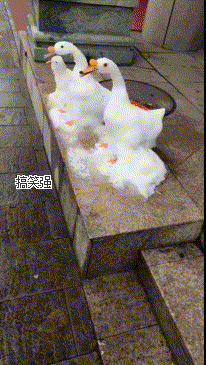 我以为这鹅做的就很像了,看到这匹马以后,我算是彻底服了