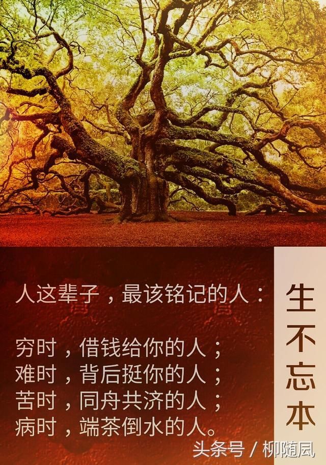 人活一世:生,不忘本;死,不愧人!(句句正心)