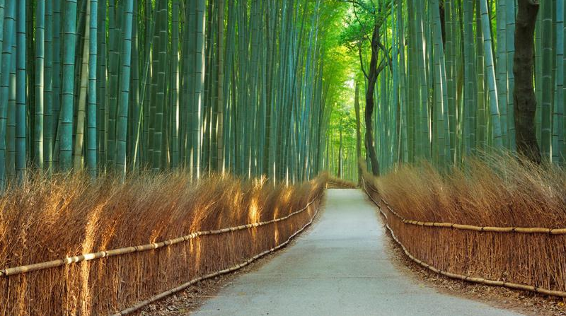 如梦似幻 日本10大不容错过美景