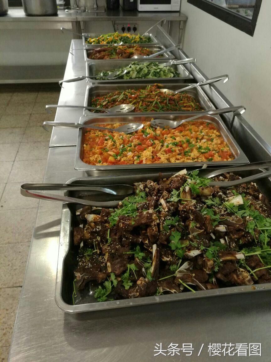 公司食堂里的工作餐,10块钱一顿,你想吃什么菜,随便你