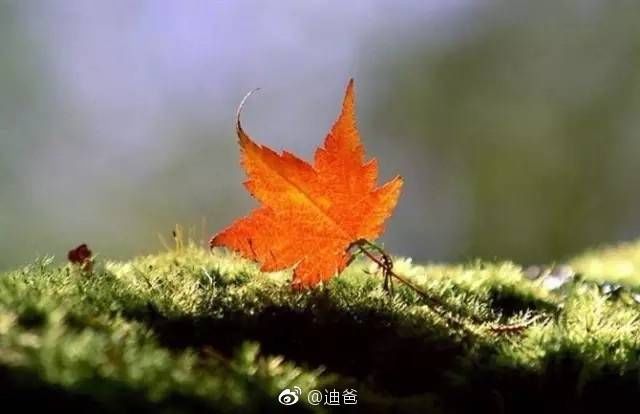 十二星座数字要暧昧多久表白白羊座男的a数字男生图片