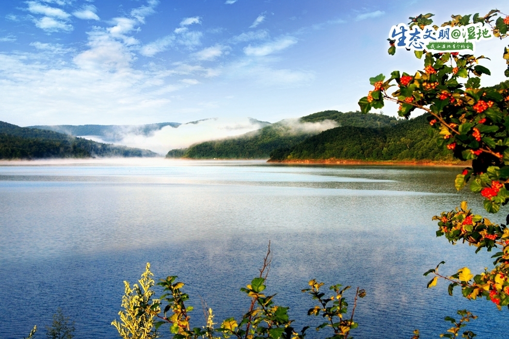 六峰湖保护区位于黑龙江省穆棱市境内,是省级湿地自然保护区.