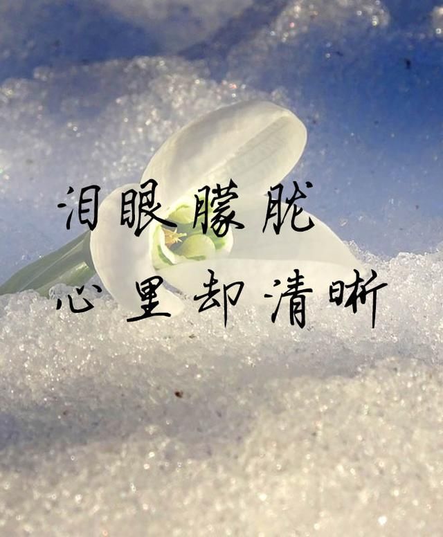 故人散落天涯,再无人诉衷肠