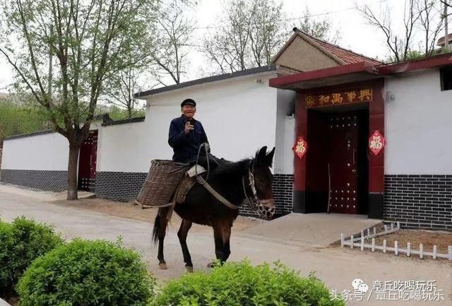 一位骑驴老大爷走入游人视线中,惬意的神态,灿烂的笑容,这不正是世外